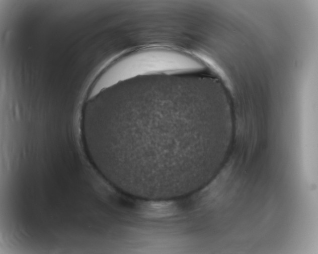 X0000089691325200707051618