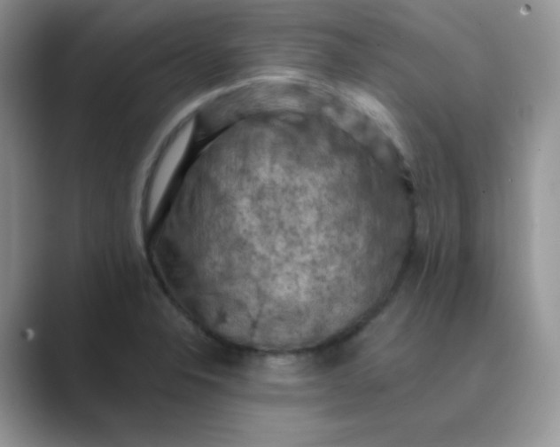 X0000089691326200707051618