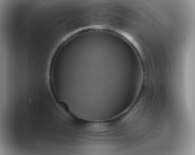 X0000089691327200707051618