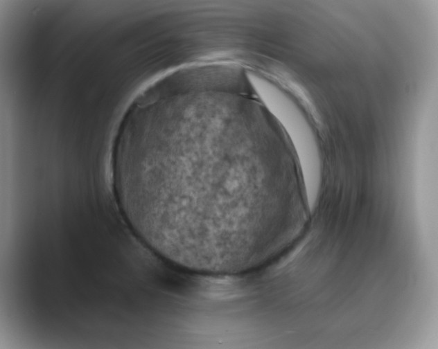 X0000089691328200707051618