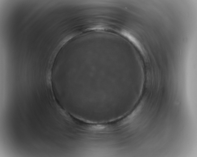 X0000089691329200707051618