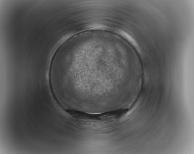 X0000089691330200707051618