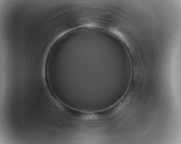 X0000089691331200707051618