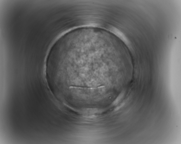 X0000089691332200707051618