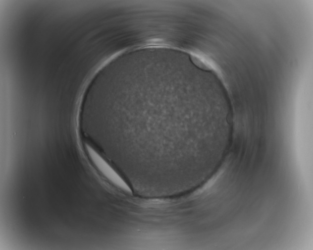 X0000089691333200707051618