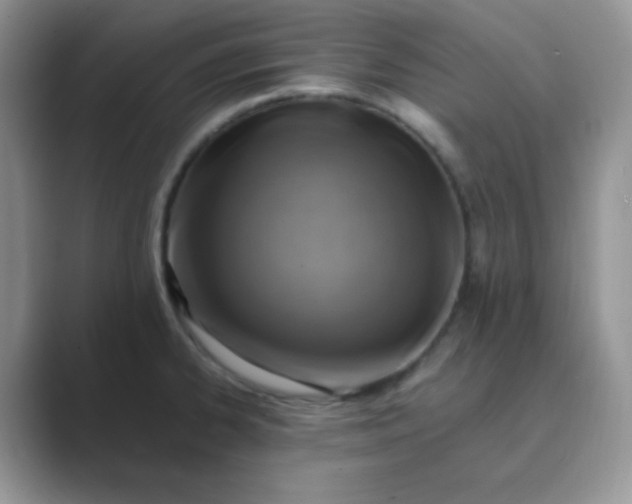 X0000089691334200707051618