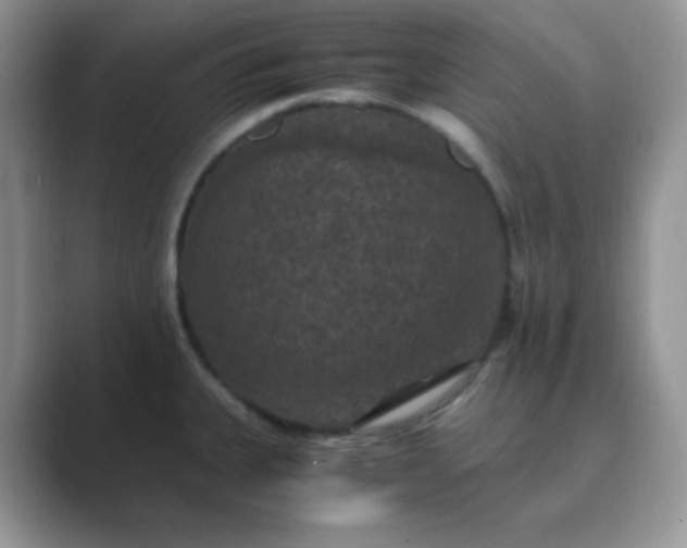 X0000089691335200707051618