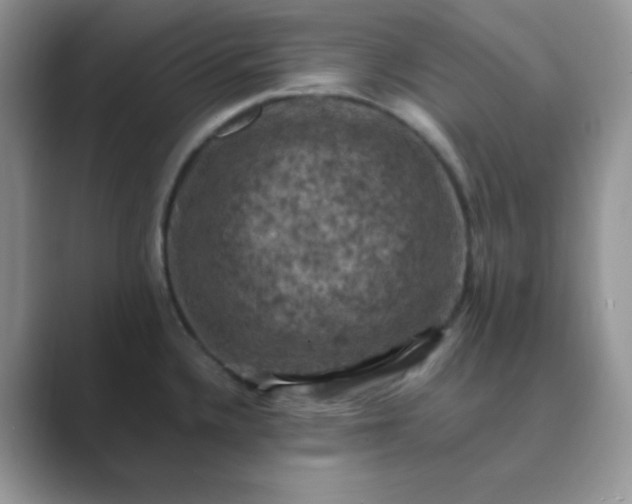 X0000089691336200707051618