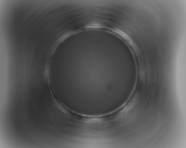 X0000089691337200707051618