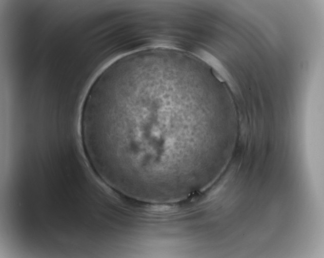 X0000089691339200707051618