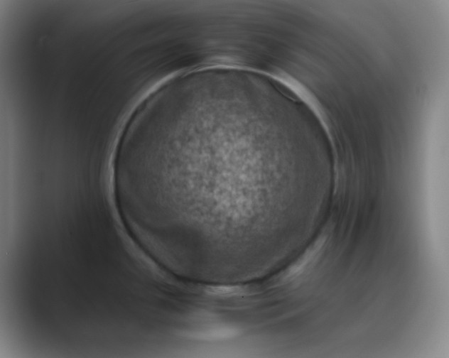 X0000089691341200707051618