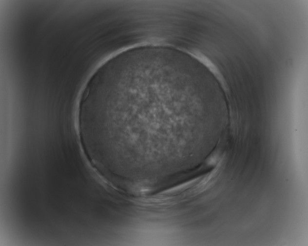 X0000089691342200707051618