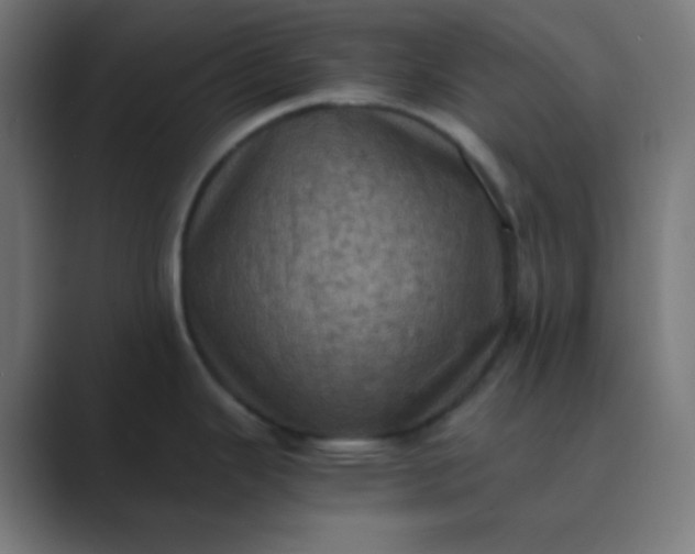 X0000089691343200707051618