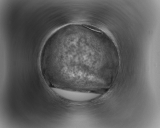 X0000089691344200707051618