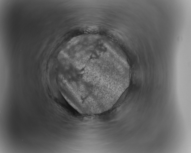 X0000089691345200707051617