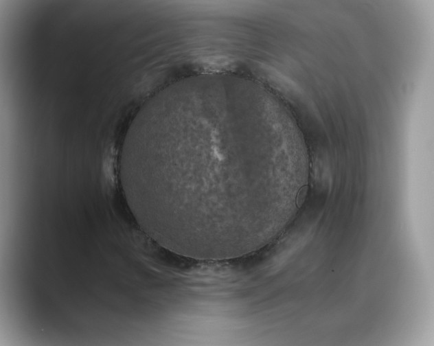 X0000089691346200707051617