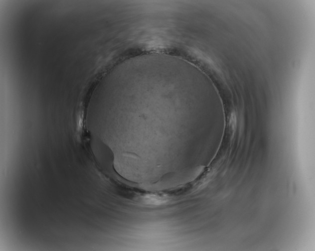 X0000089691348200707051617