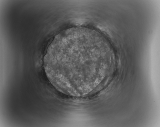 X0000089691349200707051617