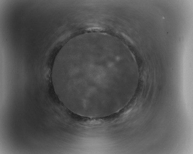 X0000089691351200707051617