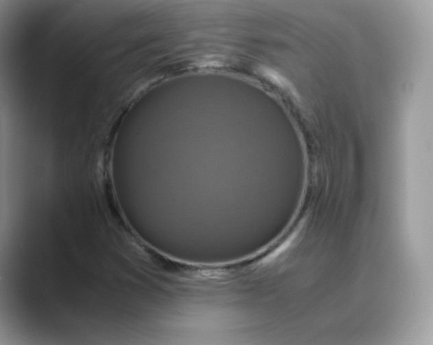 X0000089691353200707051617