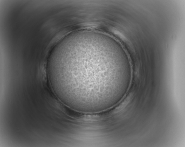 X0000089691354200707051617