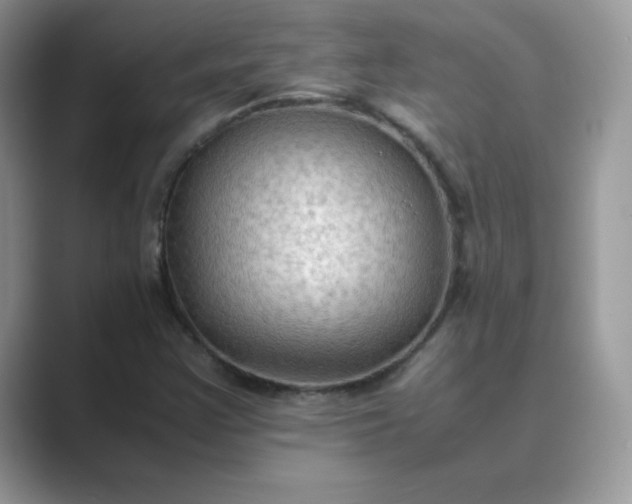 X0000089691355200707051617