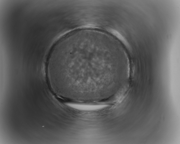 X0000089691356200707051617