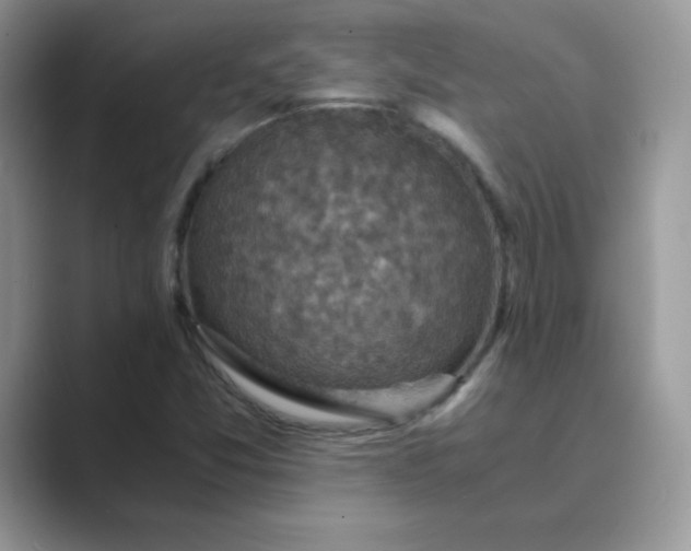 X0000089691357200707051617