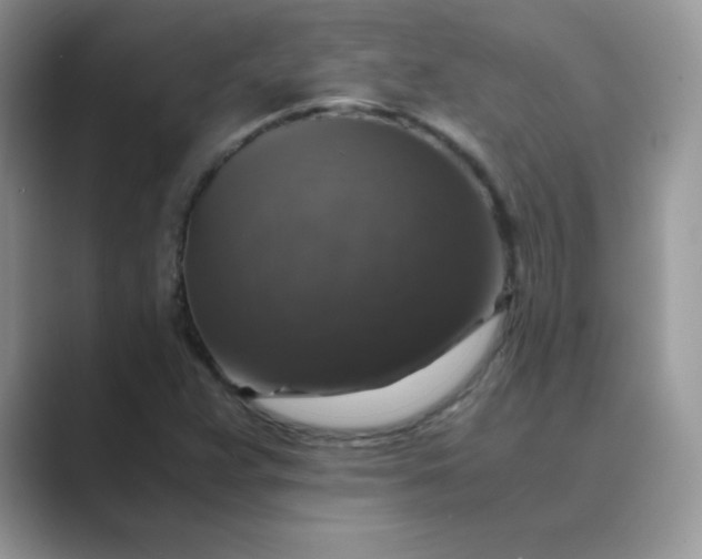 X0000089691359200707051617