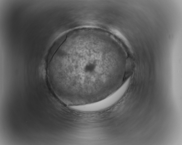 X0000089691360200707051617