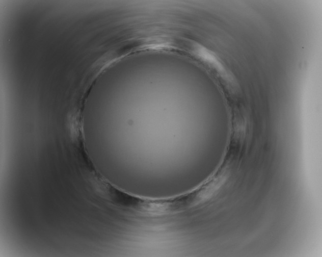 X0000089691361200707051617