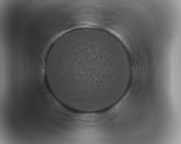 X0000089691363200707051617