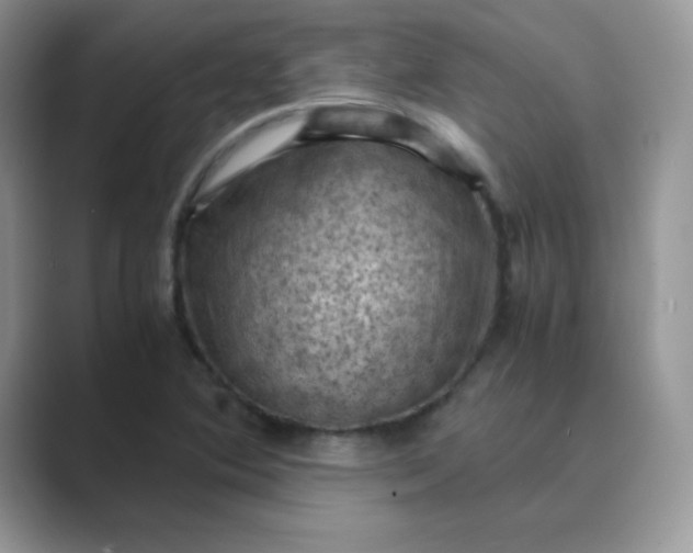 X0000089691364200707051617