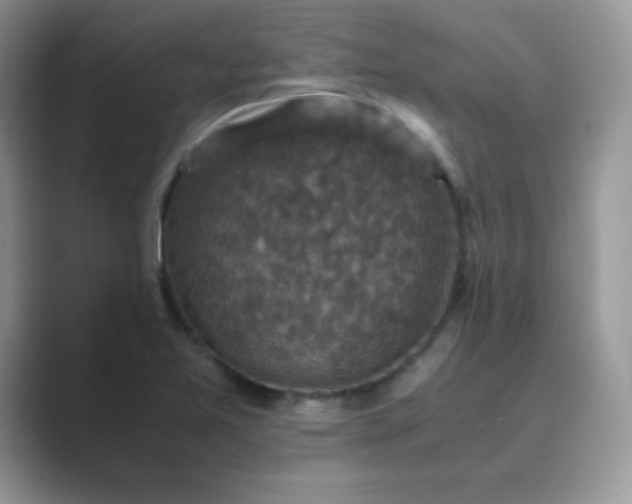 X0000089691365200707051617