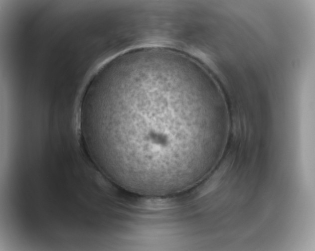 X0000089691366200707051617