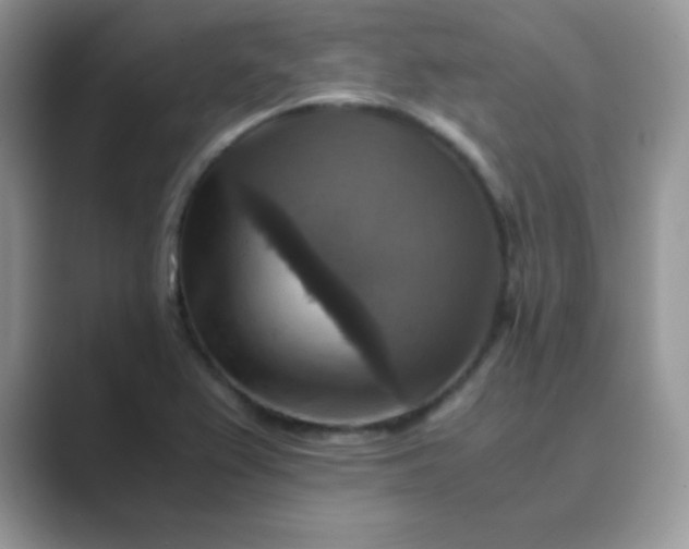 X0000089691367200707051617