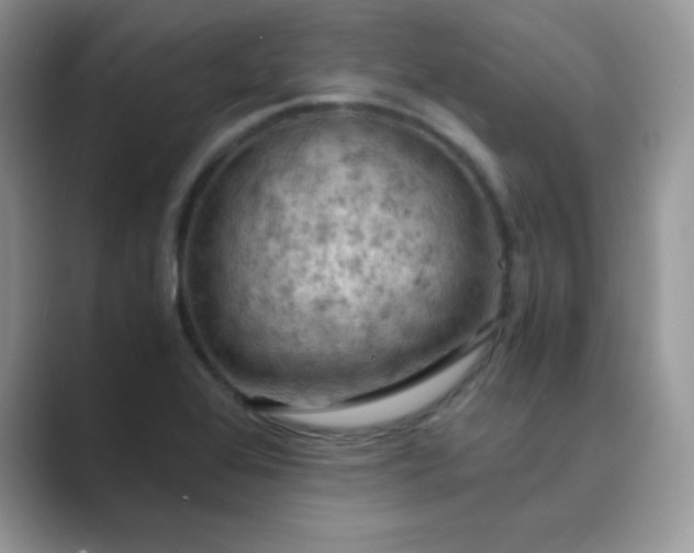 X0000089691368200707051617