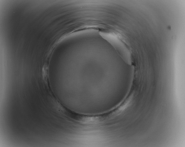 X0000089691369200707051617