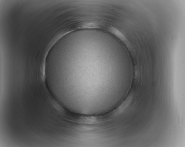 X0000089691370200707051617