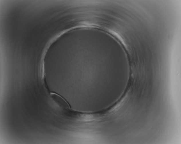 X0000089691371200707051617