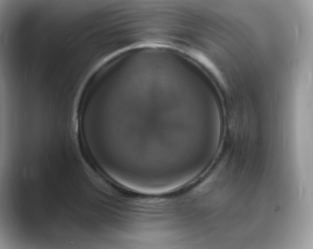 X0000089691372200707051617