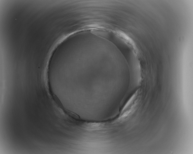 X0000089691373200707051617