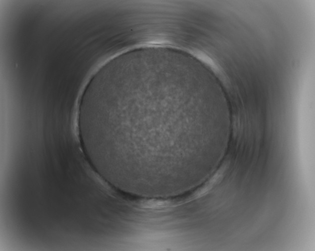 X0000089691374200707051617