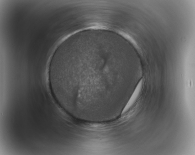 X0000089691375200707051617