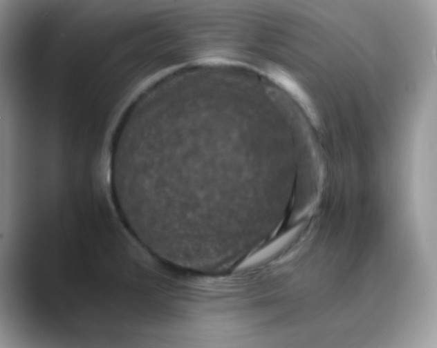 X0000089691376200707051617