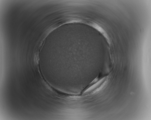 X0000089691377200707051617