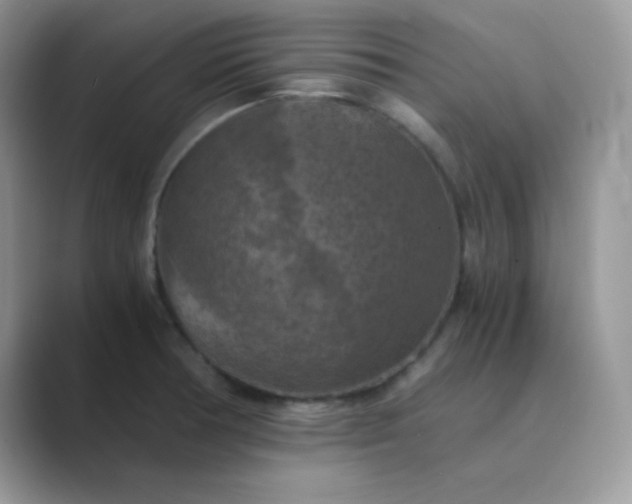 X0000089691378200707051617