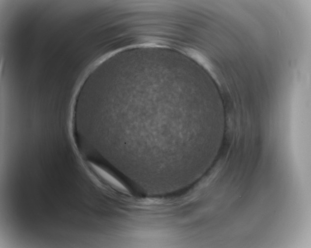 X0000089691379200707051617