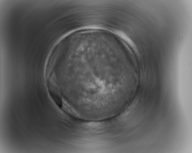 X0000089691380200707051617