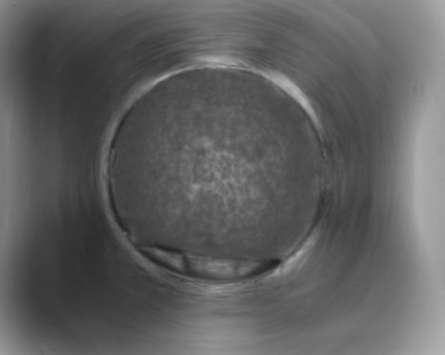 X0000089691381200707051617